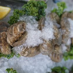 Buddy's seafood Market