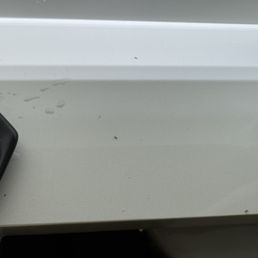 Ants on the bathroom counter, Room 649, 7/5/26 Ants on the bathroom counter, Room 649, 7/5/26