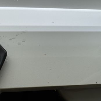 The Westin Pasadena - Ants on the bathroom counter, Room 649, 7/5/26 - Hotels Near Me - Pasadena, California The Westin Pasadena - Ants on the bathroom counter, Room 649, 7/5/26 - Hotels Near Me - Pasadena, California