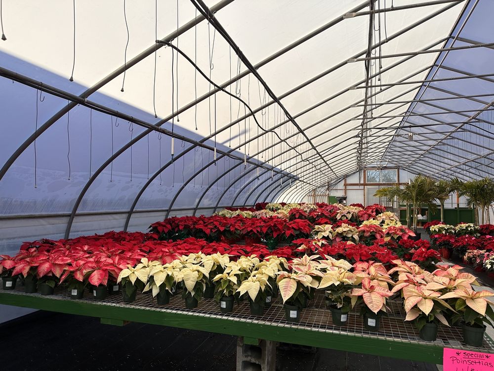 GABRIELSEN COUNTRY FARMS Updated September 2024 18 Photos 200