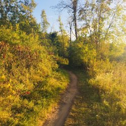 Quarry Ridge Recreation Area - Nice trails- this is Dizzy Trail