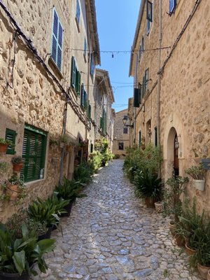 Valldemossa by null