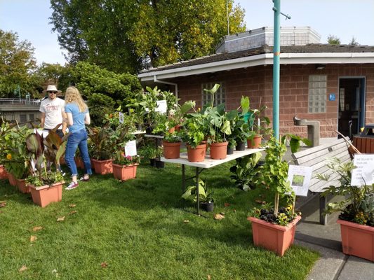 Kirkland Wednesday Market by null
