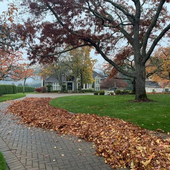 Creative Landcare - Before - Lawn Services Near Me - Sherwood, Oregon Creative Landcare - Before - Lawn Services Near Me - Sherwood, Oregon