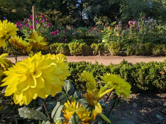 Real Jardín Botánico by null