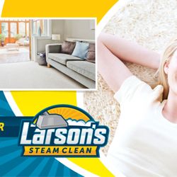 Larson's Steam Clean