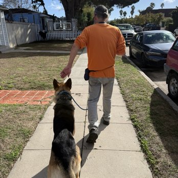 In Line K9 - My Fiancé with Kuma after board and train - Pet Training Near Me