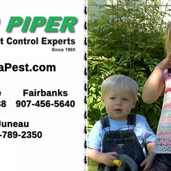 Pied Piper Pest Control - "Call Pied Piper for all your pest control needs!"