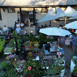 Kidd Squid Brewing - Live music - Saturday
