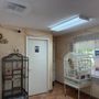 Geneva Oaks Animal Hospital