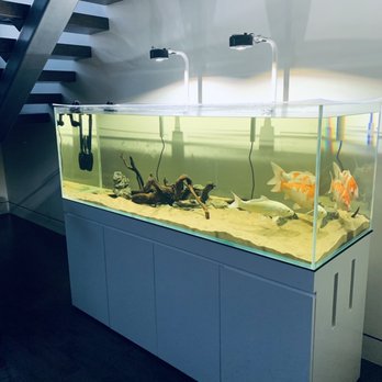 Water World Aquatics - 300 gallon pond tank - Aquarium Services Near Me