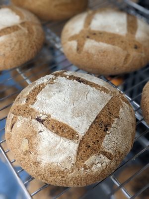 Native Bread by null