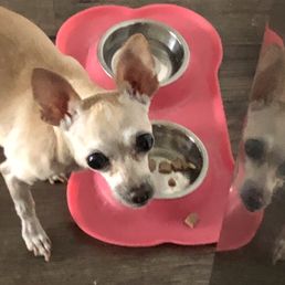 Penny! Penny!