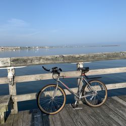 Giant Bicycle Rehoboth