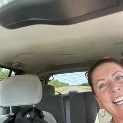 Lake County Veterinary Clinics