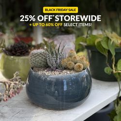 Pottery & Beyond