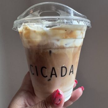 Cicada Coffee - Cafes Near Me - Jacksonville, Florida