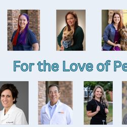 VetMED Emergency & Specialty Veterinary Hospital - Amazing doctors of VetMED