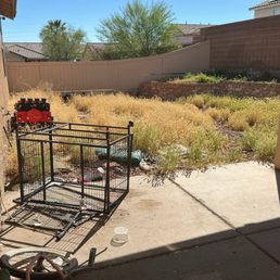 BEFORE - backyard