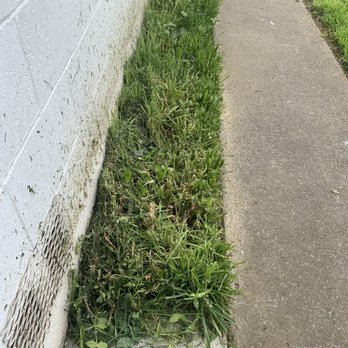 Lawn Care Up - Lawn Services Near Me - Sacramento, California Lawn Care Up - Lawn Services Near Me - Sacramento, California