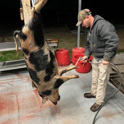 Cypress Creek Hunting Lodge - Bubba cleaning my first one.