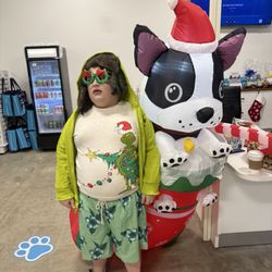 Bulldog Swim Academy - Holiday decorations