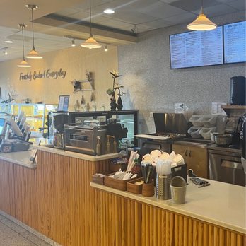 Zimo Bakery & Cafe - Bakeries Near Me - Tampa, Florida Zimo Bakery & Cafe - Bakeries Near Me - Tampa, Florida