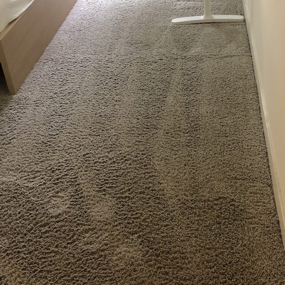 Divine Carpet Cleaning - Carpet Cleaning Near Me