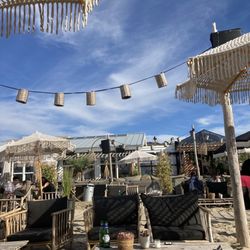 Branding Beach Club