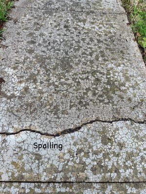 Good Home Inspection