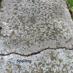Good Home Inspection - Interesting.