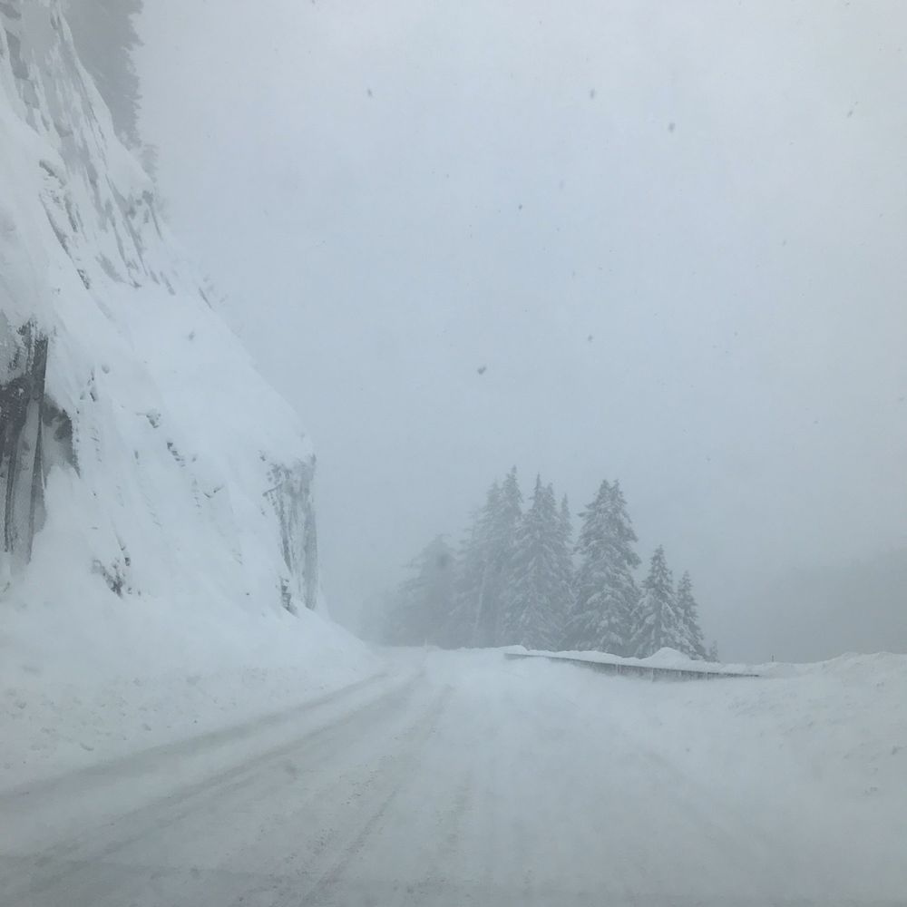 Tsillan Goldens - This was white pass to get to Yakima but due to a down tree we took 84 to 205 to I-5 to get back home. - Pet Breeders Near Me - Chelan, Washington