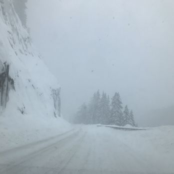 Tsillan Goldens - This was white pass to get to Yakima but due to a down tree we took 84 to 205 to I-5 to get back home. - Pet Breeders Near Me - Chelan, Washington Tsillan Goldens - This was white pass to get to Yakima but due to a down tree we took 84 to 205 to I-5 to get back home. - Pet Breeders Near Me - Chelan, Washington