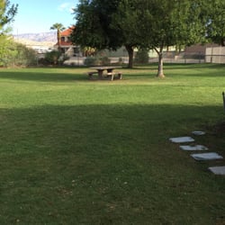 Big dog area
