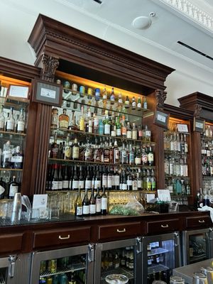 The Black Cat by null The Black Cat by null