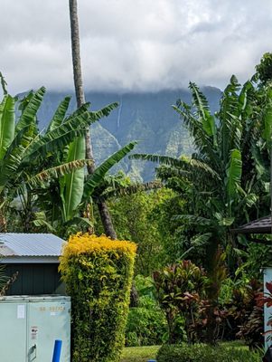 The Hanalei Gourmet by null