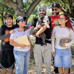 Heavenly Bulliez - Mia found her forever home! Thank you, Salinas Family San Antonio, TX