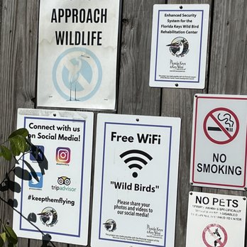 Florida Keys Wild Bird Sanctuary - #keepthemflying - Animal Shelters Near Me - Tavernier, Florida Florida Keys Wild Bird Sanctuary - #keepthemflying - Animal Shelters Near Me - Tavernier, Florida