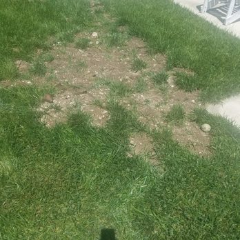 A1 Tree and Landscape - They did not place the gopher wire in this section. It looks horrible. - Tree Services Near Me