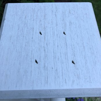 J & A General Contractor - This is the newell cap don't six months ago. Was supposed to be prepped and primed followed by two coats of paint - Painters Near Me - Cranston, Rhode Island