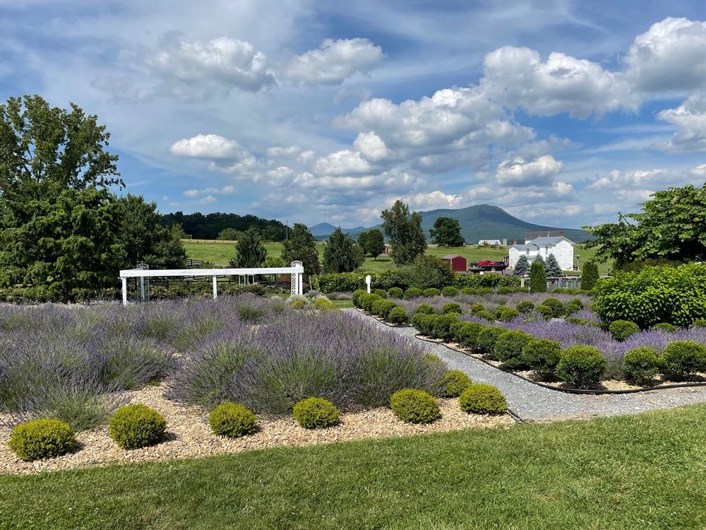 WHITE OAK LAVENDER FARM 252 Photos & 83 Reviews Wine Tasting Room