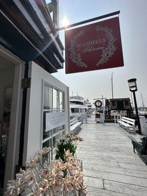 Bowen's Wharf by null