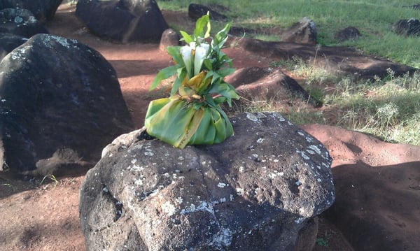 Kukaniloko Birth Stones by null