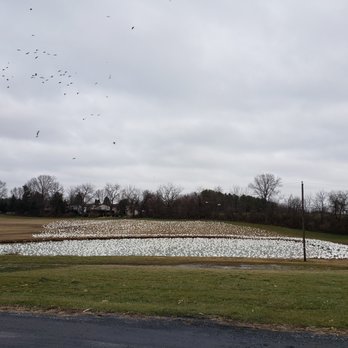 Seiple Farms - Pick Your Own Farms Near Me - Bath, Pennsylvania Seiple Farms - Pick Your Own Farms Near Me - Bath, Pennsylvania