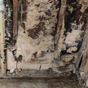 Semper Fi Home Inspections - Home Inspectors Near Me Semper Fi Home Inspections - Home Inspectors Near Me