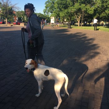 Ruff And Ready Canine - Pet Training Near Me Ruff And Ready Canine - Pet Training Near Me