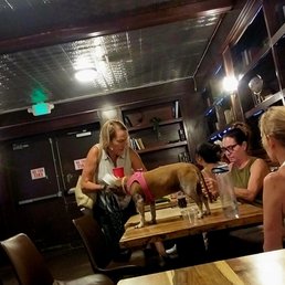 Customers with dog ON table