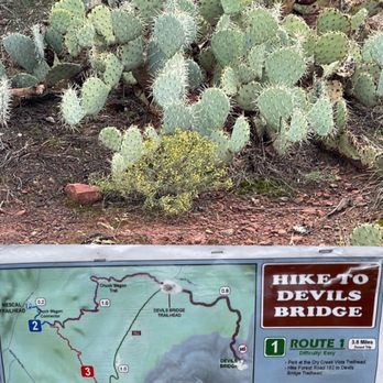 Devil's Bridge Trail - Cactus and map - Hiking Near Me - Sedona, Arizona