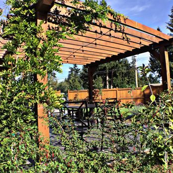 Thrive Landscapes - a pergolated patio with a table and chairs - Landscaping Near Me