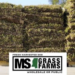 Mississippi Grass Farms